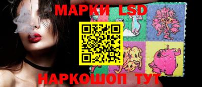 шишки Боровичи
