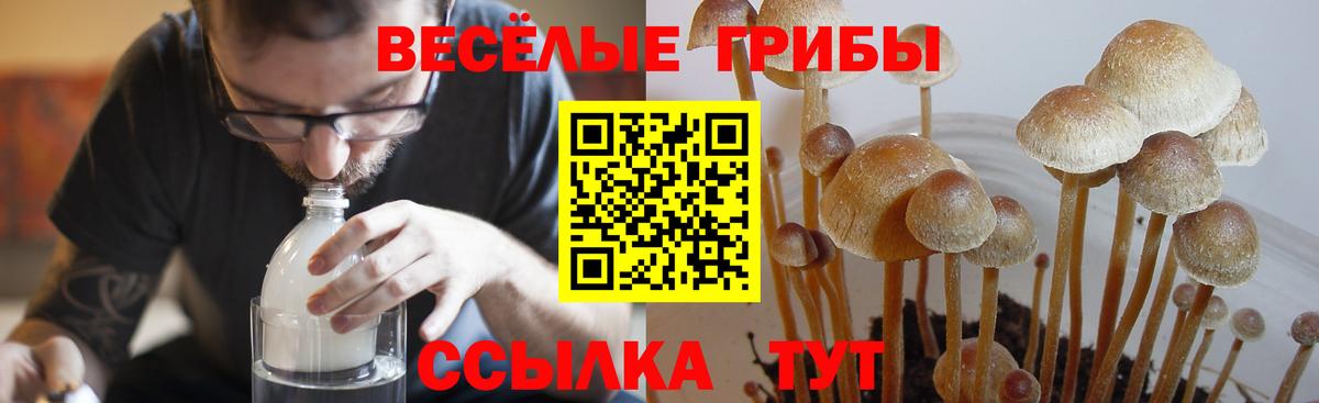 Галлюциногенные грибы прущие грибы  Псилоцибиновые грибы ЛСД  Вход с VPN  Киров 