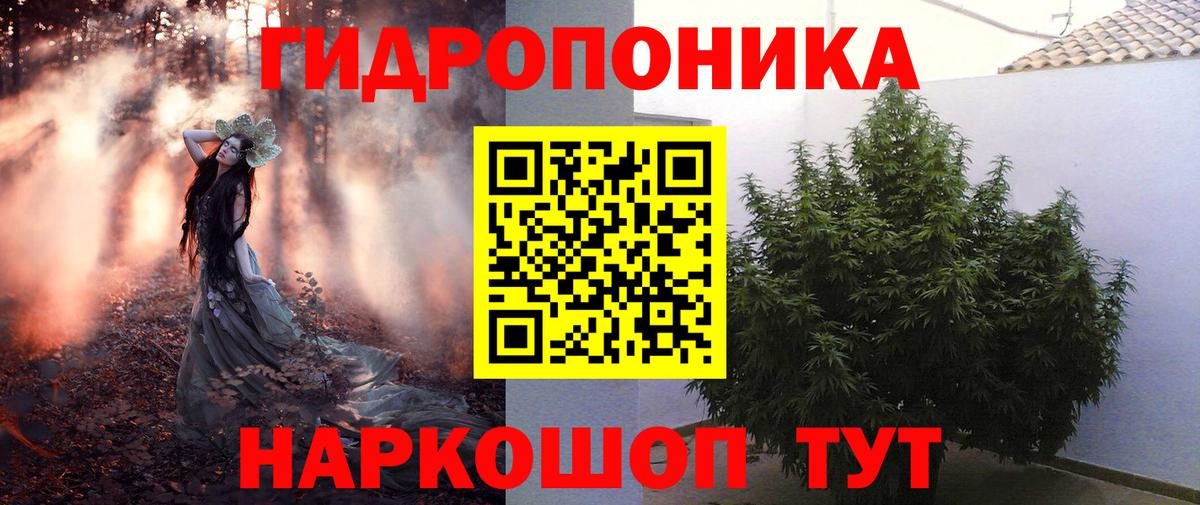 Конопля Amnesia  Вход с VPN  Марихуана индика  Бошки марихуана Ganja  Киров 